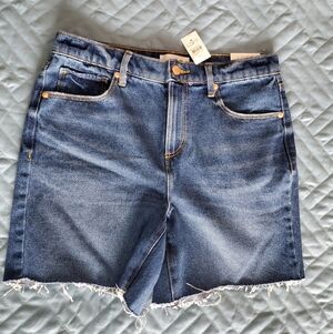 LOFT Boyfriend Blue Jean Shorts